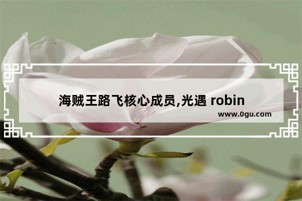 海贼王路飞核心成员,光遇 robin