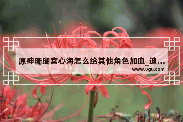 原神珊瑚宫心海怎么给其他角色加血_迪奥娜怎么给队友加血