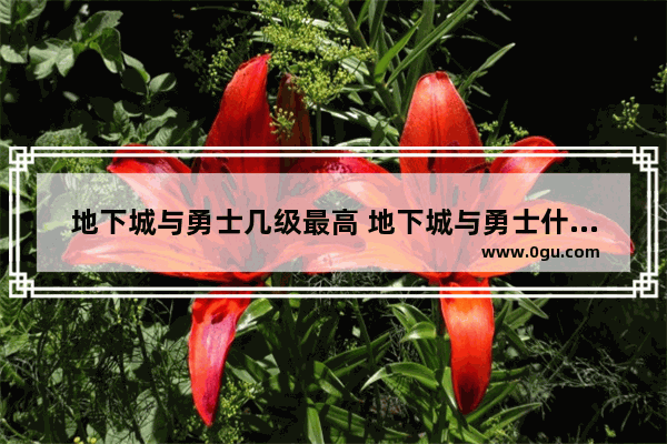 地下城与勇士几级最高 地下城与勇士什么级别最好