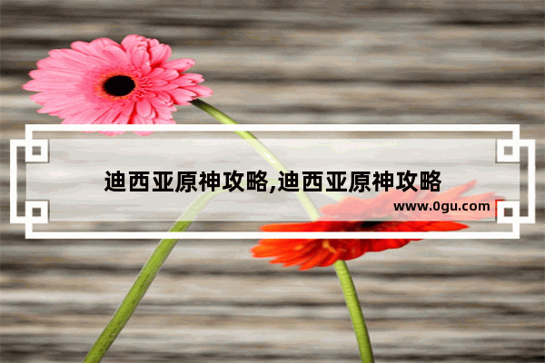 迪西亚原神攻略,迪西亚原神攻略