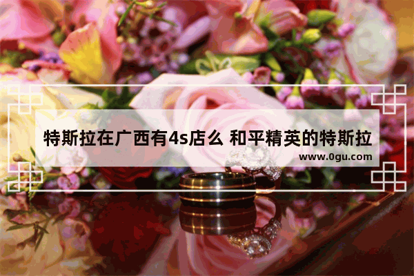 特斯拉在广西有4s店么 和平精英的特斯拉展厅在哪