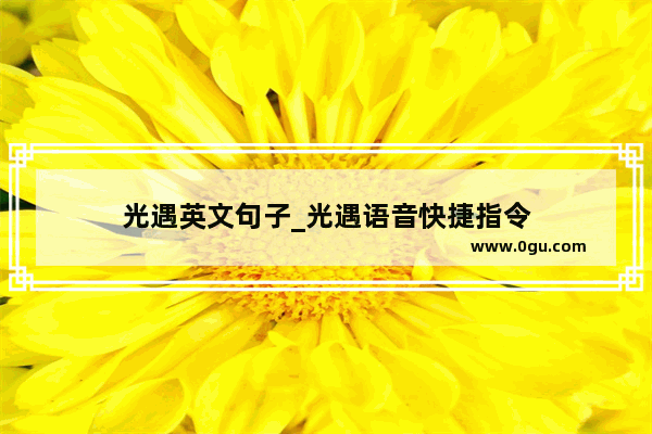 光遇英文句子_光遇语音快捷指令
