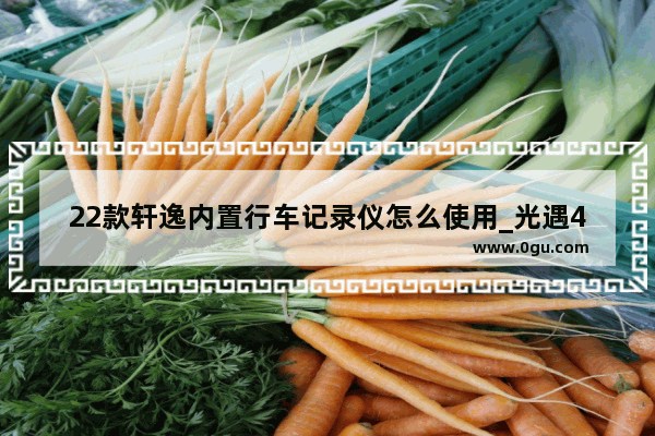 22款轩逸内置行车记录仪怎么使用_光遇4631