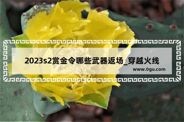 2023s2赏金令哪些武器返场_穿越火线火线币是什么时候刷新