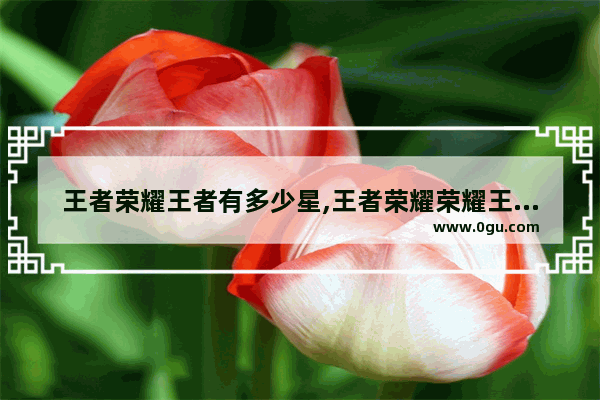 王者荣耀王者有多少星,王者荣耀荣耀王者几星