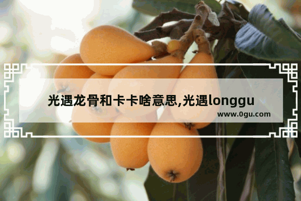 光遇龙骨和卡卡啥意思,光遇longgu