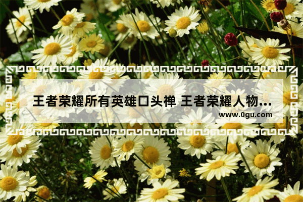 王者荣耀所有英雄口头禅 王者荣耀人物口头禅