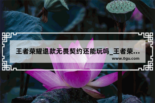 王者荣耀退款无畏契约还能玩吗_王者荣耀穷奇典韦无畏之灵台词