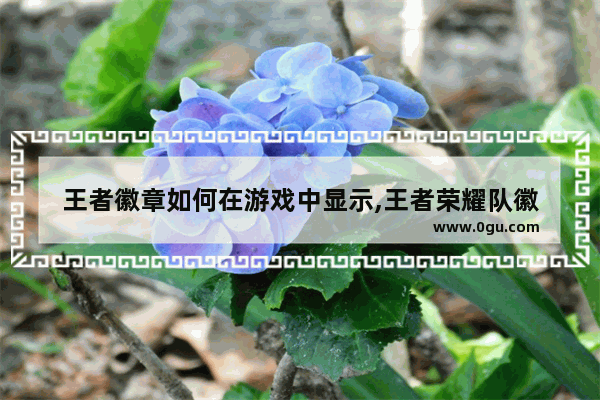 王者徽章如何在游戏中显示,王者荣耀队徽