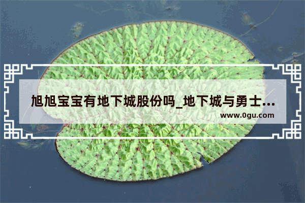 旭旭宝宝有地下城股份吗_地下城与勇士手游是哪个上市公司