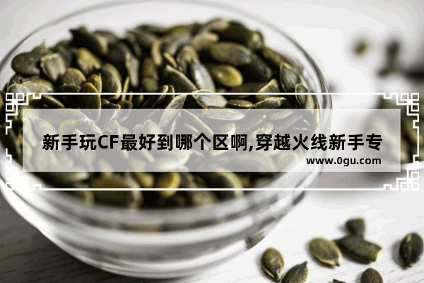 新手玩CF最好到哪个区啊,穿越火线新手专属