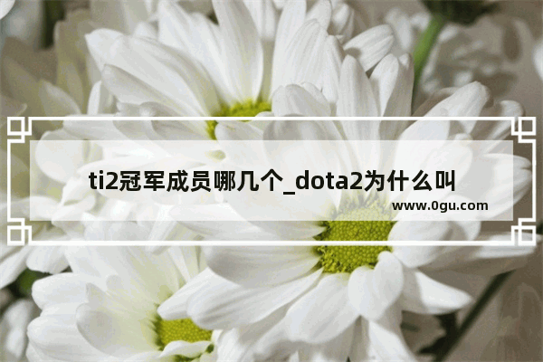 ti2冠军成员哪几个_dota2为什么叫狼哥