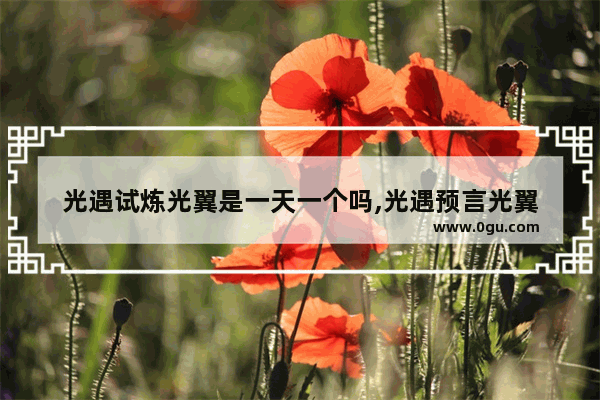 光遇试炼光翼是一天一个吗,光遇预言光翼