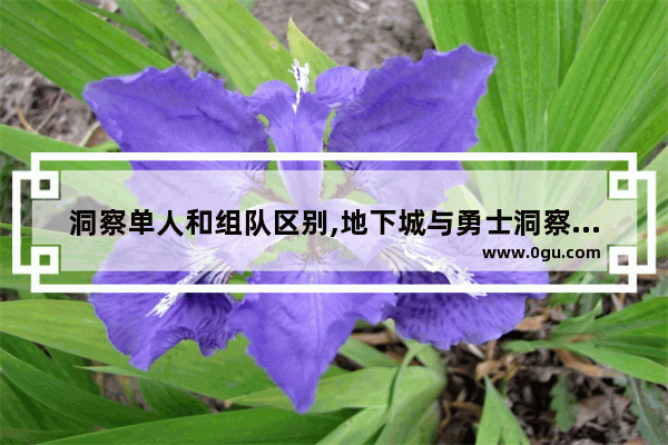 洞察单人和组队区别,地下城与勇士洞察怎么打