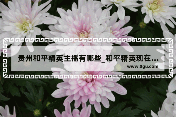 贵州和平精英主播有哪些_和平精英现在直播的有吗