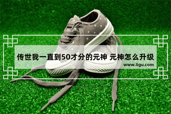 传世我一直到50才分的元神 元神怎么升级最快_传世怎么练元神