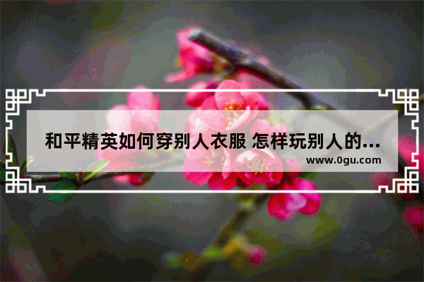 和平精英如何穿别人衣服 怎样玩别人的和平精英