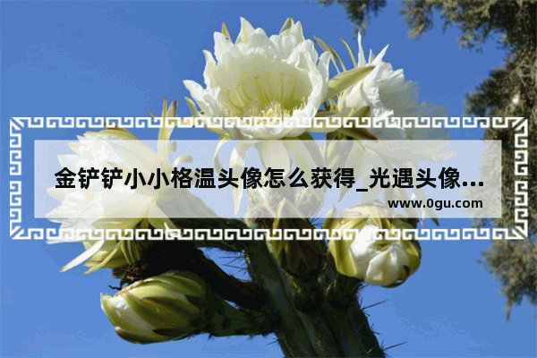 金铲铲小小格温头像怎么获得_光遇头像超好看的光遇剪影