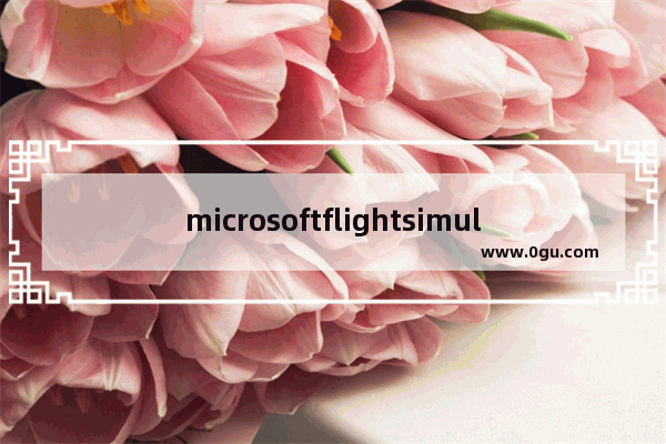 microsoftflightsimulator手柄怎么玩,地下城与勇士手柄摇杆设置