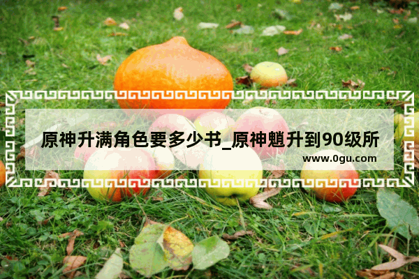 原神升满角色要多少书_原神魈升到90级所需经验书