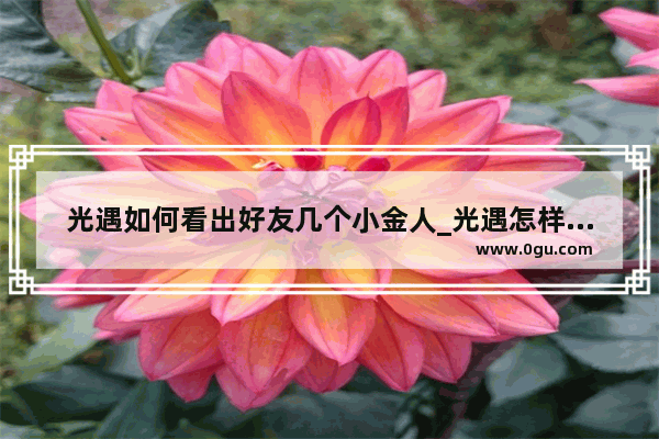 光遇如何看出好友几个小金人_光遇怎样在遇境看小金人