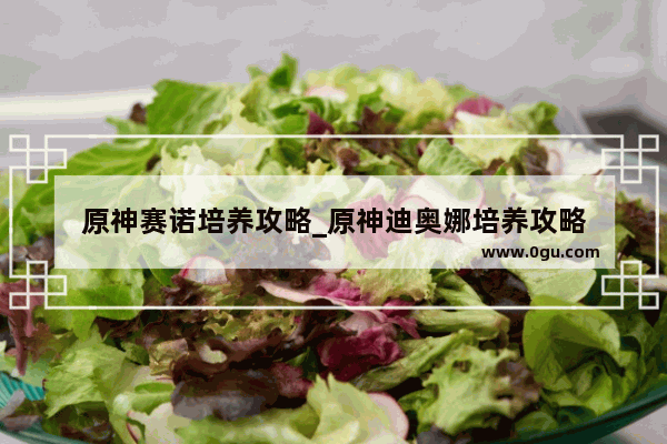 原神赛诺培养攻略_原神迪奥娜培养攻略