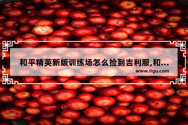 和平精英新版训练场怎么捡到吉利服,和平精英体验服新增装备