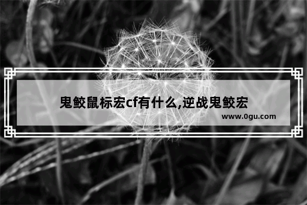 鬼鲛鼠标宏cf有什么,逆战鬼鲛宏