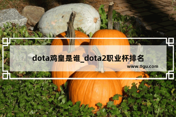 dota鸡皇是谁_dota2职业杯排名