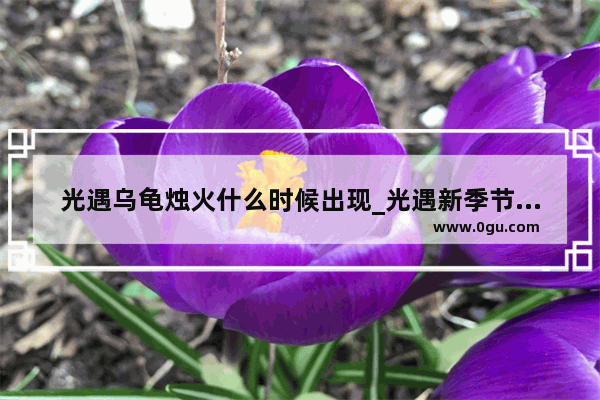 光遇乌龟烛火什么时候出现_光遇新季节挂机点怎么没有烛火