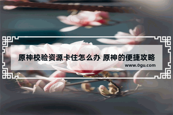 原神校验资源卡住怎么办 原神的便捷攻略