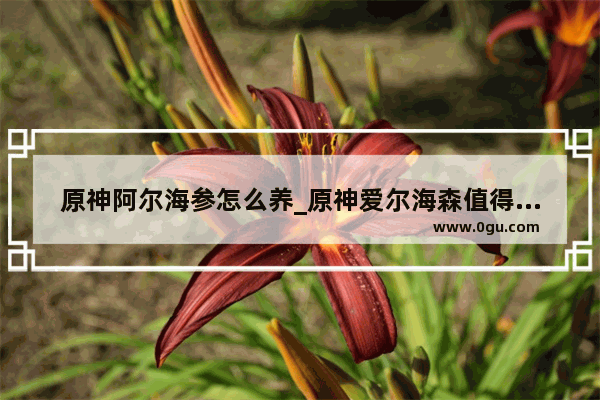 原神阿尔海参怎么养_原神爱尔海森值得抽吗