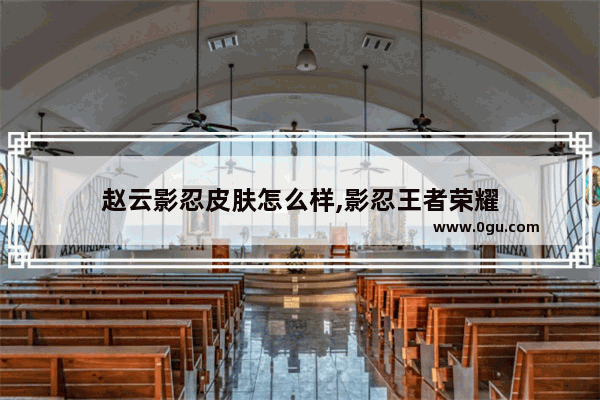 赵云影忍皮肤怎么样,影忍王者荣耀