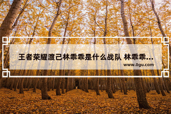 王者荣耀渡己林乖乖是什么战队 林乖乖王者荣耀