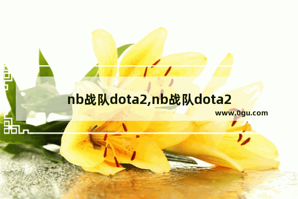 nb战队dota2,nb战队dota2