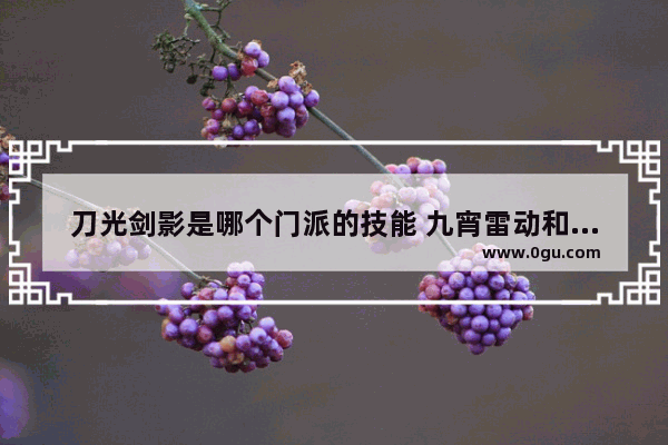 刀光剑影是哪个门派的技能 九宵雷动和平精英
