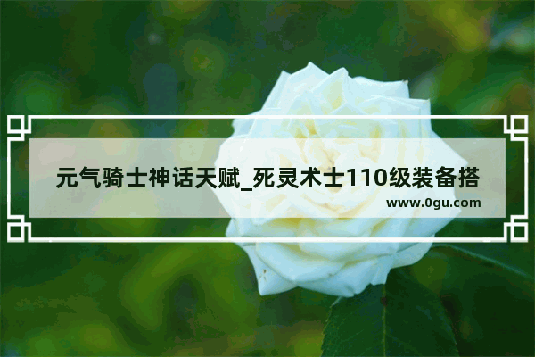 元气骑士神话天赋_死灵术士110级装备搭配