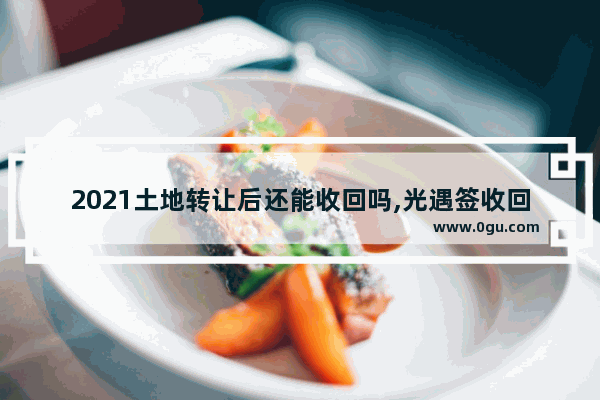 2021土地转让后还能收回吗,光遇签收回遇境