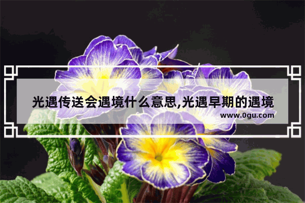光遇传送会遇境什么意思,光遇早期的遇境