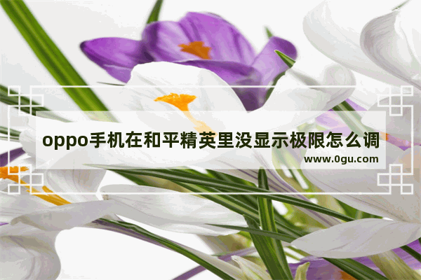oppo手机在和平精英里没显示极限怎么调,和平精英体验服极限追