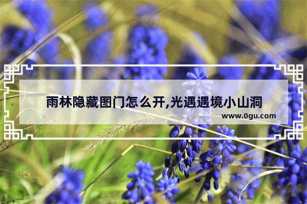 雨林隐藏图门怎么开,光遇遇境小山洞