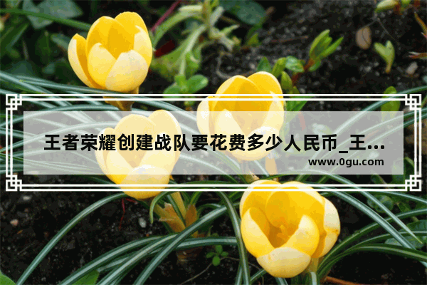 王者荣耀创建战队要花费多少人民币_王者荣耀组建战队流程