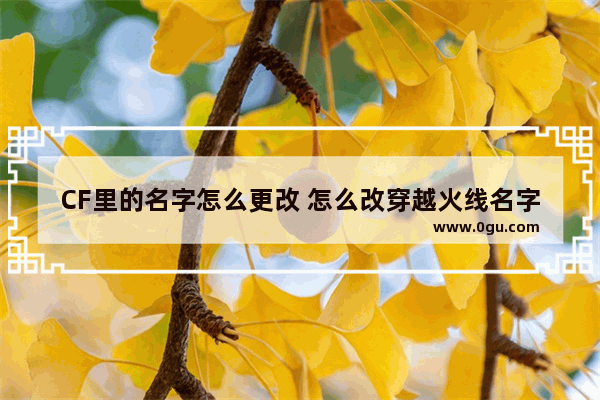 CF里的名字怎么更改 怎么改穿越火线名字