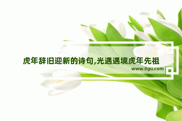 虎年辞旧迎新的诗句,光遇遇境虎年先祖