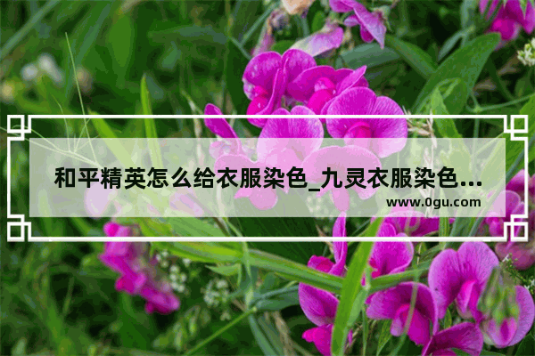 和平精英怎么给衣服染色_九灵衣服染色码怎么用