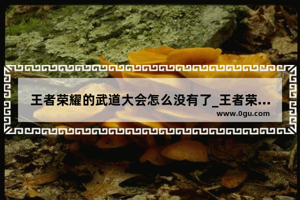 王者荣耀的武道大会怎么没有了_王者荣耀武道大会什么时间段参加最
