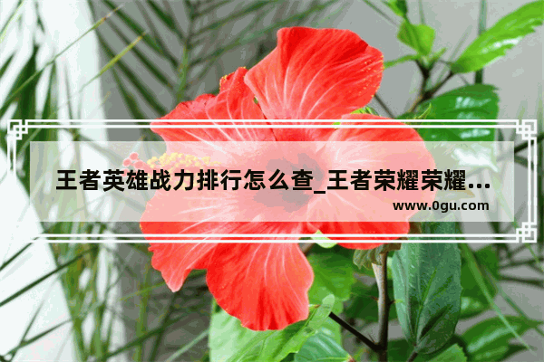 王者英雄战力排行怎么查_王者荣耀荣耀战斗力怎么算
