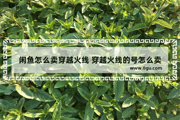 闲鱼怎么卖穿越火线 穿越火线的号怎么卖