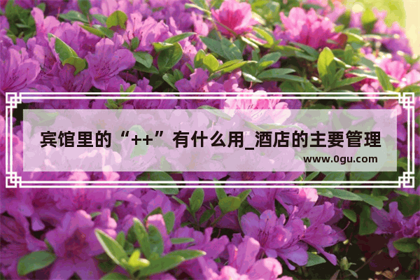 宾馆里的“++”有什么用_酒店的主要管理人员有哪些
