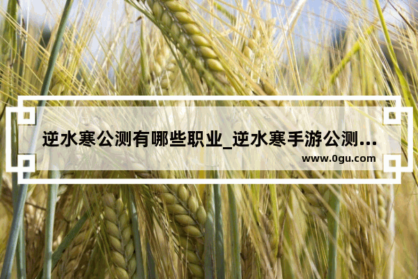 逆水寒公测有哪些职业_逆水寒手游公测有几个职业